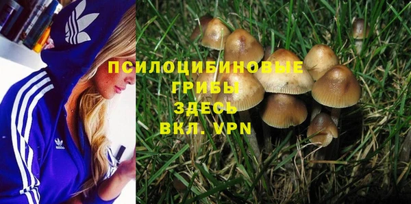 марки nbome Гусь-Хрустальный