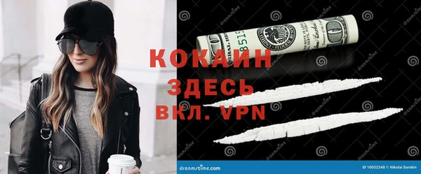 шишки Аркадак