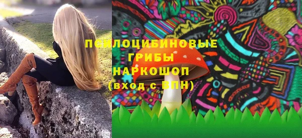 шишки Аркадак