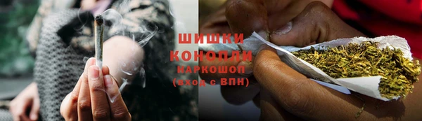 шишки Аркадак