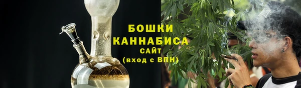 шишки Аркадак