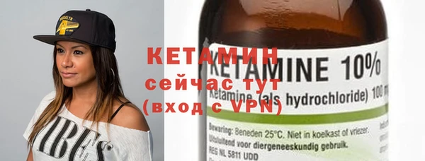 шишки Аркадак