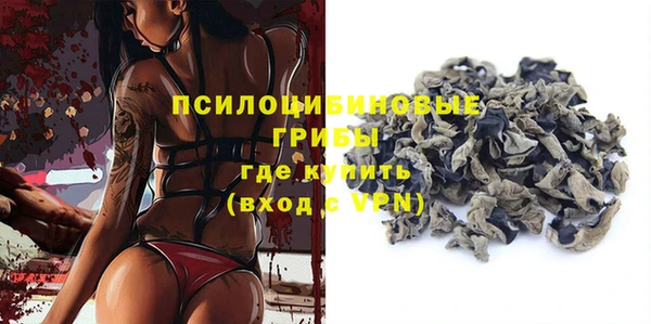 МДПВ Арсеньев
