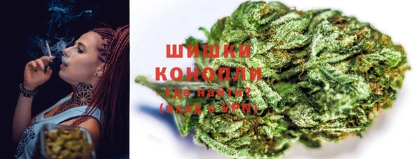 шишки Аркадак