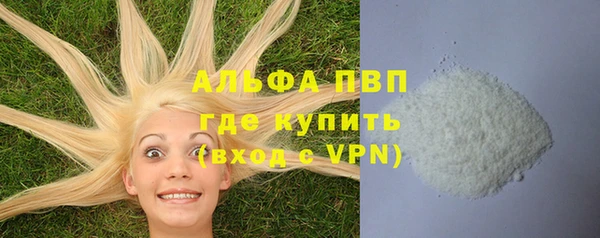 шишки Аркадак