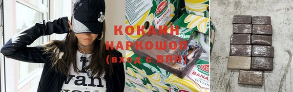 шишки Аркадак